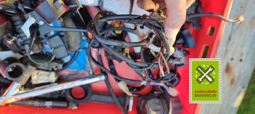 IMG_20230914_183757